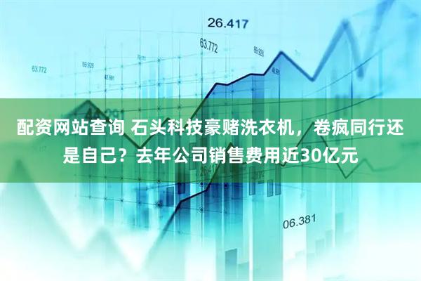 配资网站查询 石头科技豪赌洗衣机，卷疯同行还是自己？去年公司销售费用近30亿元