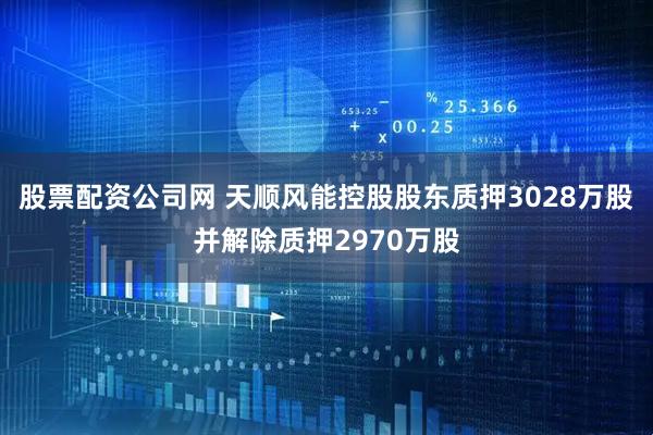 股票配资公司网 天顺风能控股股东质押3028万股并解除质押2970万股