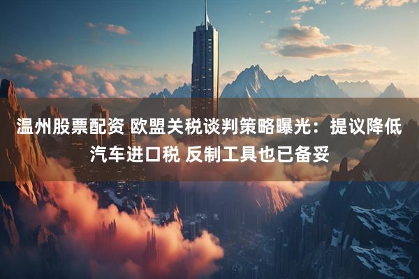 温州股票配资 欧盟关税谈判策略曝光：提议降低汽车进口税 反制工具也已备妥